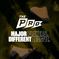 The PRO