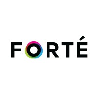 Forte Sweden (Informationsteknik)