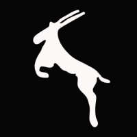 Antelope Camera System