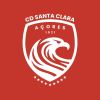 Santa Clara Açores, Futebol SAD