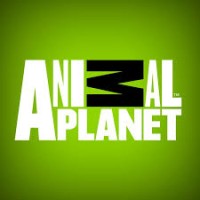 Animal Planet
