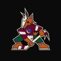 Arizona Coyotes