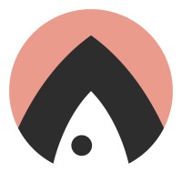 The Salmon Consulting