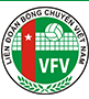 Volleyball Federation of Vietnam