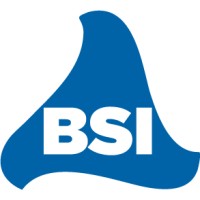 Broadcast Software International (BSI)