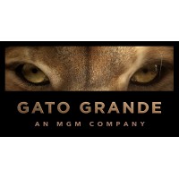 Gato Grande
