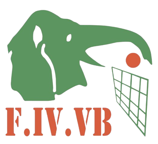 Federation Ivoirienne de Volley-Ball
