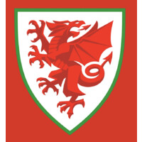 Football Association of Wales (FAW)