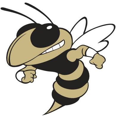T.L. Hanna Yellow Jackets Athletics