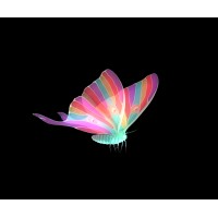 LUMA Projection Arts Festival