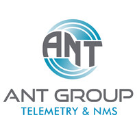 Ant Group