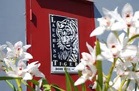 Laughing Tiger Recording Studios