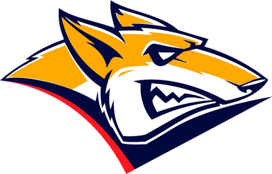 HC Metallurg