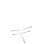 VTV Honduras