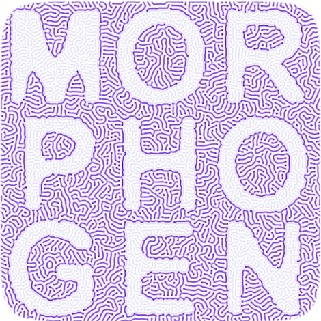 Morphogen