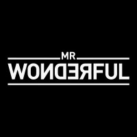 MR WONDERFUL