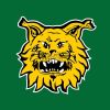 Tampereen Ilves (Ilves Hockey)