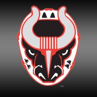 Birmingham Bulls Hockey