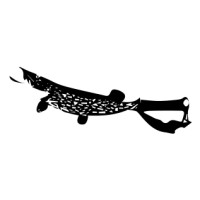 Swordfish (iBelieveInSwordfish)