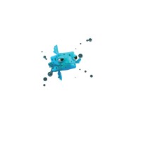 Boxfish Argentina