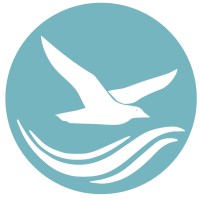 Ceeblue