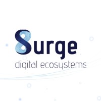 PT Solusi Sinergi Digital Tbk (SURGE)