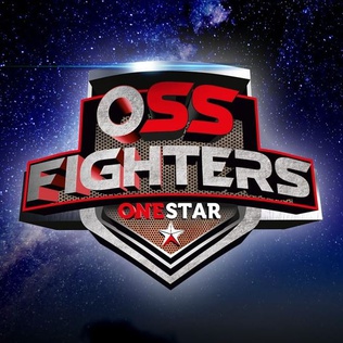 OSS Fighters